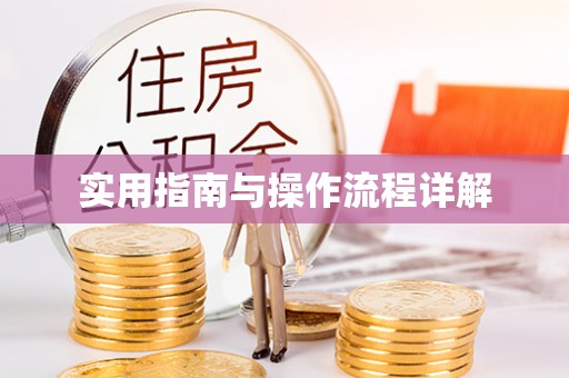 城口实用指南与操作流程详解