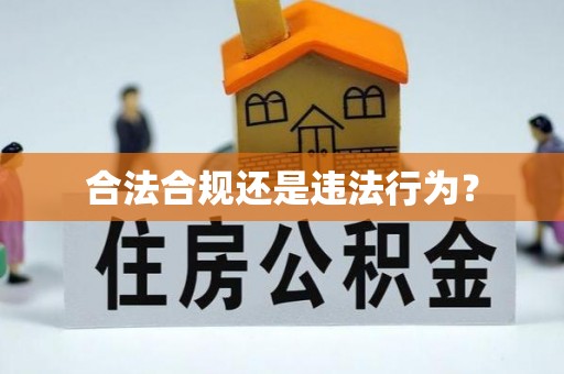 城口合法合规还是违法行为？